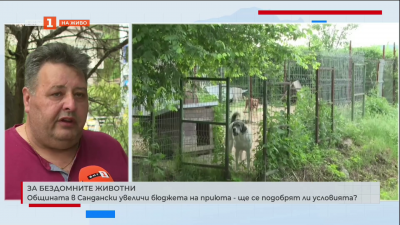 Общинският съвет на Сандански увеличи бюджета на приюта за бездомни кучета