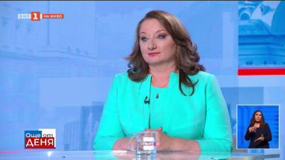 Сачева: Искането на президента за референдум е противоконституционно