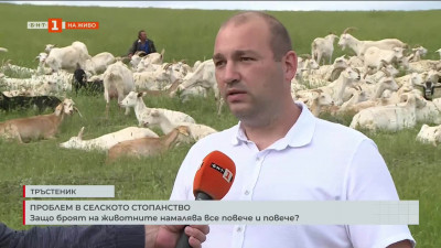 В навечерието на Националния събор на овцевъдите в България
