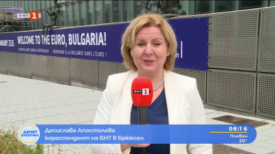 Десислава Апостолова за финалното решение на Брюксел