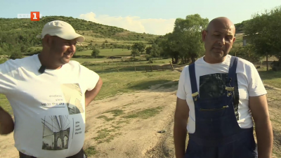 Как се гледат животни с издадена смъртна присъда