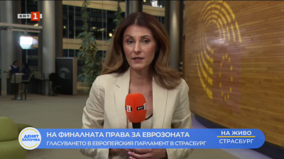 Тоня Димитрова: Вотът ще покаже, че проевропейските политически групи в ЕП все още имат надмощие