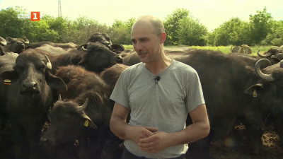 На гости в стопанството на Добромир Донов от Долни Дъбник 