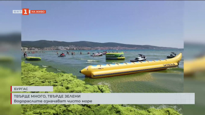 Нашествие на водорасли на плажа в Слънчев бряг