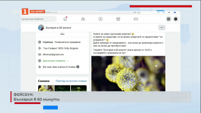 Алергиите - на какво се дължат?