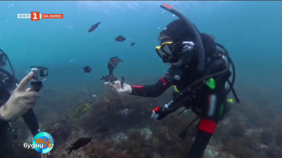 Подводните съкровища на Южното Черноморие