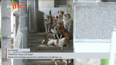 Мъж отглежда десетки животни в двора си