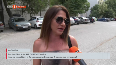 Как се справят с бездомните кучета в другите страни?