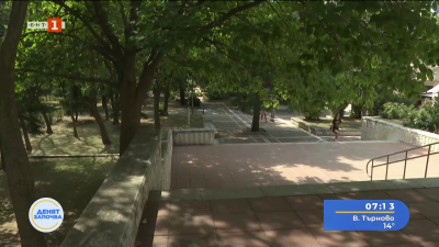 Започват проверки заради инциденти с паднали дървета в Благоевград 