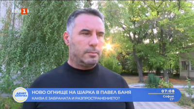 Ново огнище на шарка в Павел баня