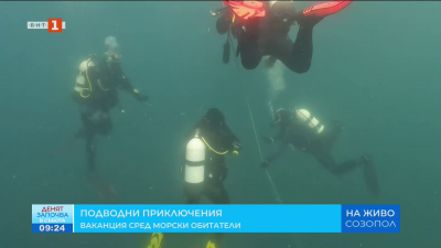 Приключения под водата: заслужен релакс и забавления