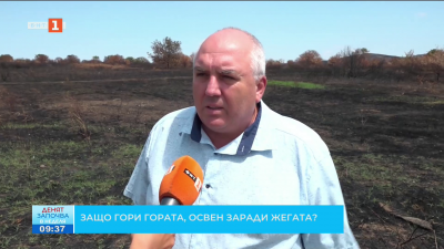 От 68 пожара, регистрирани в Югоизточна България тази година, 64 са заради човешка грешка