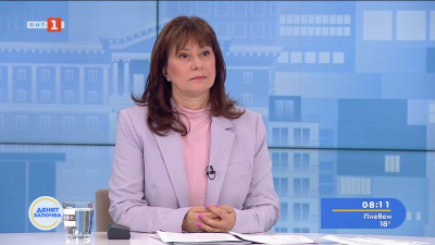 Омбудсманът Велислава Делчева: Над 173 хиляди души нямат достъп до питейна вода