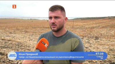 Заради сушата: ниски добиви от слънчоглед и царевица 