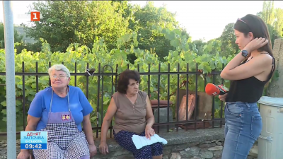 За приемането на единната валута