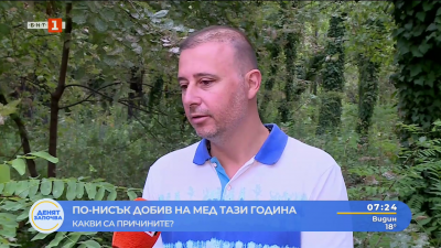 По-ниски добиви от мед очакват тази година пчеларите 