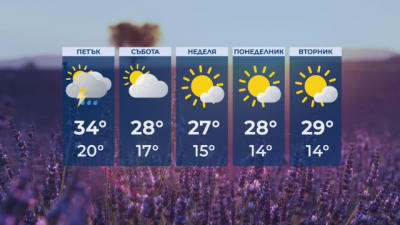 Ветровито, на много места с валежи в петък