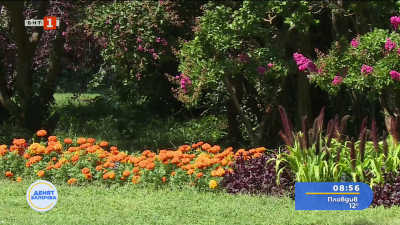 Феерия от цветове във Варна: Над 30 000 екземпляра в Ботаническата градина