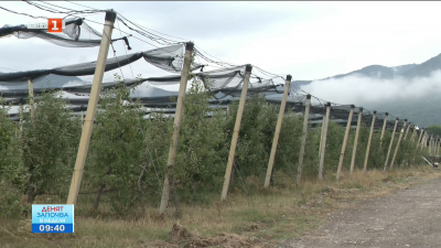 Суша, пожари и ниски добиви: Тежък сезон за земеделците