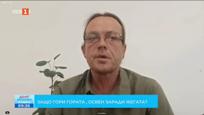 Лесовъдите: Горите ни, особено в ниските части, са трайно застарели