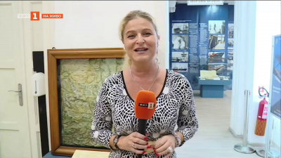 Уникална релефна карта от 1928 година показват във Военноморския музей във Варна