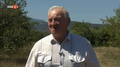 Среща с професор Домузетов: Как се оцелява в най-тежката година за овошките 