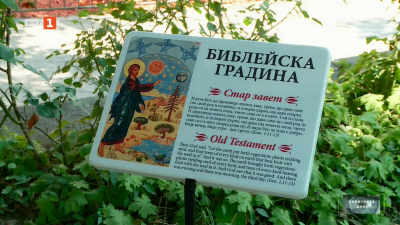 Какво има в Библейската ботаническа градина в Пловдив? 