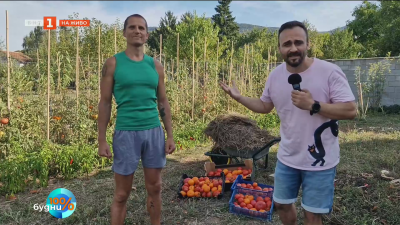 Инфлуенсър с хиляди последователи отглежда домати на село