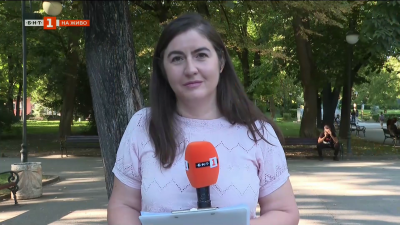 Кой се грижи за почистването на дърветата?