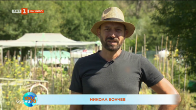 Чиста храна от квартал „Дружба“