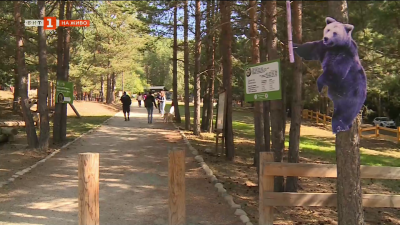 На гости в Белица: Единственото убежище за спасени кафяви мечки в България празнува