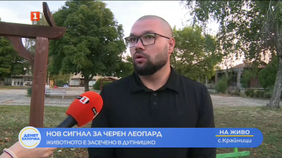 Черният леопард е забелязан край дупнишкото село Крайници 