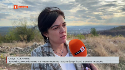 Започва залесяването на местността Гарга баир край  Търново