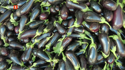 Родопчани даряват първата си реколта на родното село Забърдо