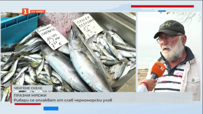 Рибари се оплакват от слаб черноморски улов