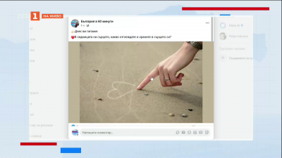 Анкета: Какво отглеждане и храните в сърцето си?