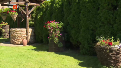 18 години конкурс за най-красив двор променя село Жабокрът