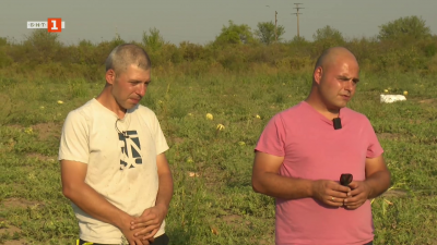 Петър и Рангел Проданови - двама братя потомствени бостанджии