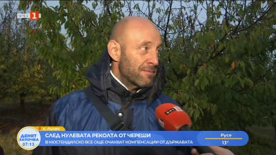 След нулевата реколта от череши овощари в Кюстендил чакат компенсации от държавата