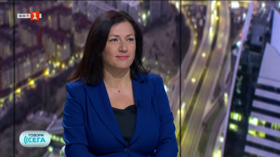 Тони Стойчева: Целта на вота на недоверие е да се постигне някакъв дебат за истинските проблеми в страната