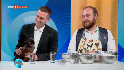 Рекорд на Гинес у нас: Най-голямата кучешка торта в света