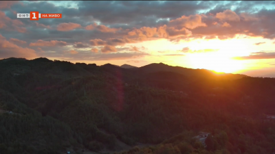 Физиката или психиката надделява в спортното състезание?