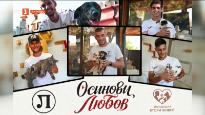 Осинови любов”: Футболистите на Локомотив” - Пловдив в кампания в помощ на бездомните животни