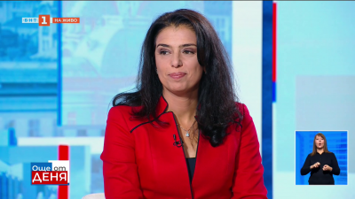 Ваня Григорова: София няма фирма, която да може да събере боклука – нямаме ядро, което да работи