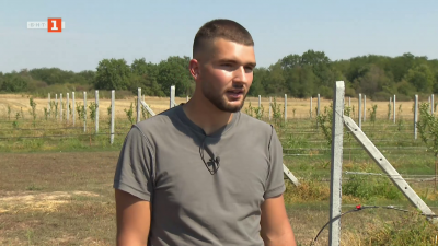 Мечтата на един млад човек да има ябълкова градина