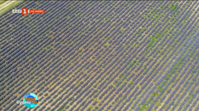 Гледайте „Българското село“ тази неделя от 13:30 ч. по БНТ1