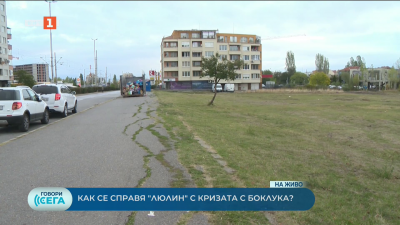 Как се справя „Люлин“ със сметосъбирането