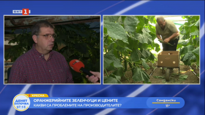 Зеленчуците и цените - какви са проблемите на производителите?