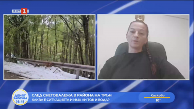 Заместник-кметът на Трън: Ситуацията е овладяна, бедственото положение остава