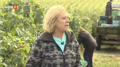 За гроздобера, българското вино и предизвикателството да си биофермер